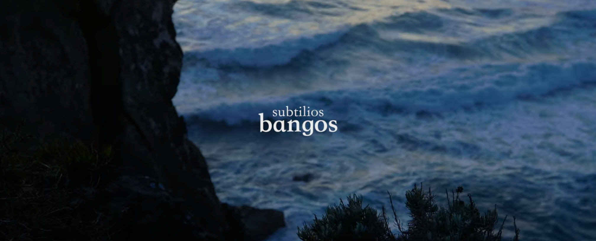 Įkelti vaizdo įrašą: 