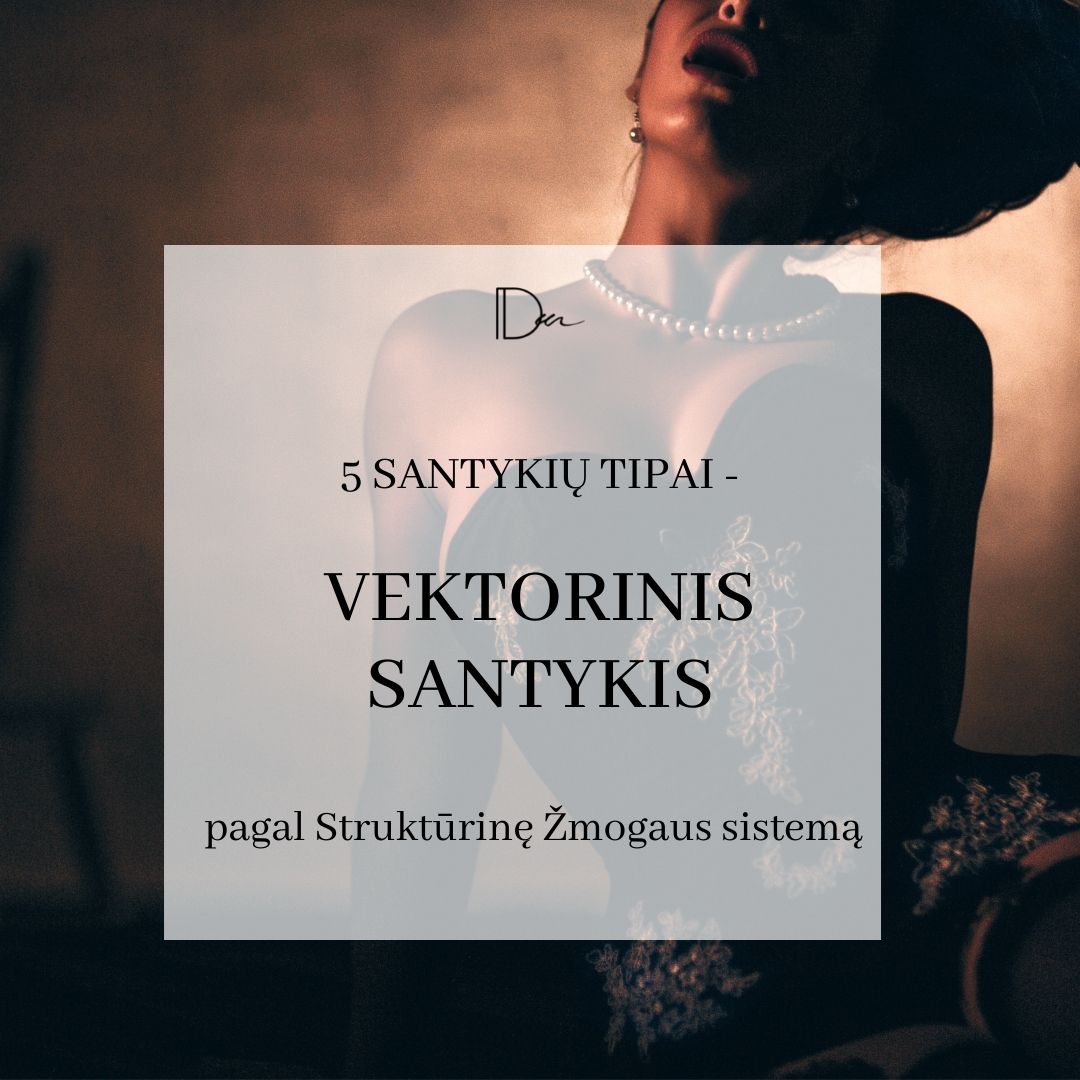 Gyvenimą keičiantys – vektoriniai santykiai